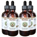 Selfheal Alcoholvrij Liquid Extract, Organic Selfheal (Prunella Vulgaris) Gedroogde kruiden Glycerite Natural Herbal Supplement, Hawaii Pharm, USA 4x4 fl.oz