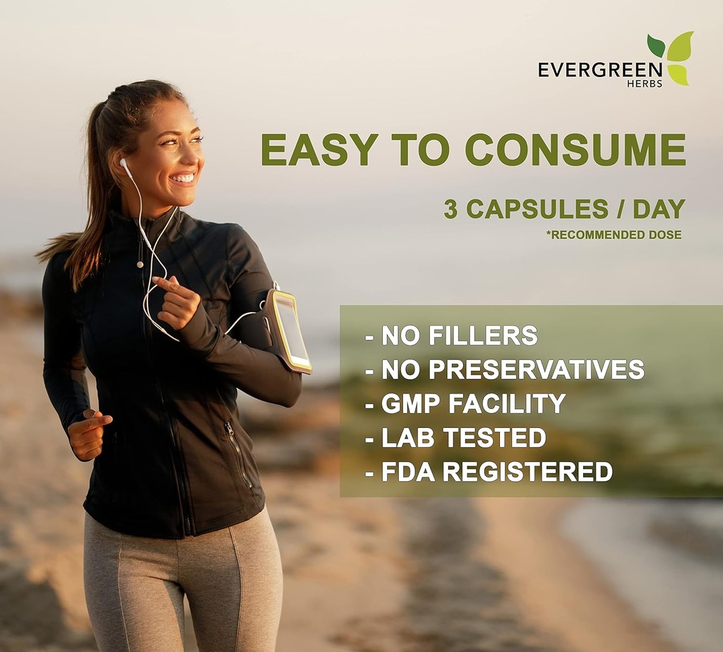 Evergreen Kruidensupplement Kruidencapsules 90 Tellen (Senna Leaf) - Tamper Proof Seal om versheid te verzekeren.