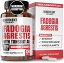 Fadogia Agrestis 1500mg [Hoge zuiverheid] + BioPerine® voor hoge absorptiesupplement met Tongkat Ali - Verhoog de uithoudingsvermogen, Lean Muscle Growth & Recovery, Boosts Drive 3rd Party Tested 120 Capsules