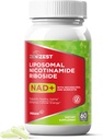 NAD+ Supplement NMN Alternatief - Liposomale Nicotinamide Riboside met Resveratrol en quercetine voor antiveroudering cel regeneratie energie Focus voor mannen vrouwen