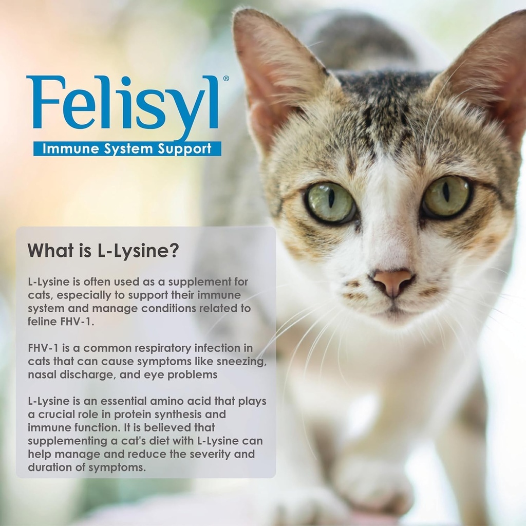 L-Lysine Gel voor katten - Immuunsysteem Ondersteuning - Supplement Ondersteuning voor gezonde weefsels, ademhaling en visie - Zalm-gearomatiseerd - Made in The USA - 5 oz