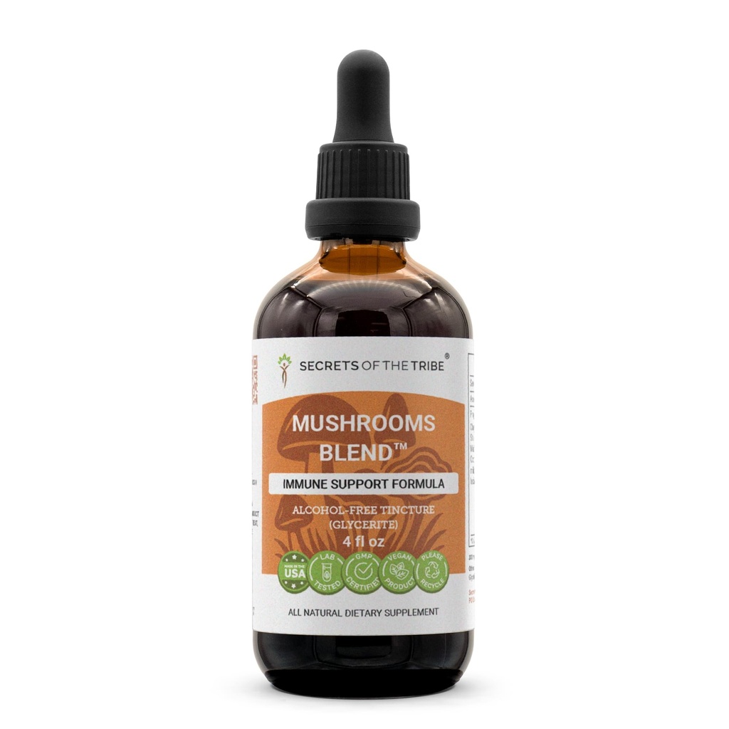 Geheimen van de stam Paddenstoelen Blend Alcoholvrij, Glycerite Chaga, Shiitake, Maitake, Cordyceps, Reishi Mushroom. Tinctuur, Kruidenextract Immuunondersteuning Formule 4 OZ