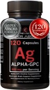 Alpha GPC Supplement & BioPerine for Hyper Absorptie - 120 Count, Alpha-GPC 600mg per Serving - Nootropics for Memory, Focus, Energy, & Drive - Choline Supplements to Boost Acetylcholine, Made in USA