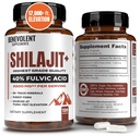 6.500mg Shilajit Supplement met 40% Fulvinezuur (High Absorption) 