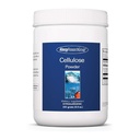 Allergy Research Group Cellulose Powder - Microkristallijne cellulose Powder, 2000mg Onoplosbaar Fiber Supplement, Poederd Cellulose, Niet-Fermenteerbaar, Hypoallergeen - 8,8 Oz