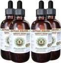 Hawaii Pharm Oregon Grape Alcohol-Free Liquid Extract, Oregon Grape (Mahonia aquifolium) Gedroogde Wortel Glyceriet Natural Herbal Supplement, USA 4x4 fl.oz