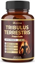 Supplément Tribulus Terrestris pour les hommes et les femmes, 5 mois avec Ashwagandha, Panax Ginseng, Saw Palmetto, Maca, Shilajit, 150 comtes