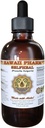 Selfheal Liquid Extract, Organic Selfheal (Prunella Vulgaris) Tinctuur, Kruidensupplement, Hawaii Pharm, Made in USA, 4 fl.oz