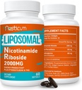2000 MG Liposomal Nicotinamide Riboside Supplement met TMG & Pterostilbene, Hoge Biobeschikbaarheid NAD+ Boosting Supplement, Superior aan Niacinamide voor energie, Immuniteit, Leeftijdsweerstand, 120 Softgels