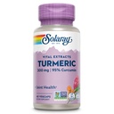 SOLARAY Kurkuma supplement 300 mg - Kurkumawortelextract met 95% Curcuma - Joint Support Supplement for Joint Health and Comfort - Non-GMO, Veganistan, Glutenvrij, 60 dagen garantie, 60 porties