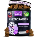 Hondenvitaminen 15 in 1 - Honden Multivitamine Kauwen met MSM voor Hip & Joint Health - Hondensupplement voor Itchy huidrelief - Multivitamine voor honden Immune Ondersteuning met Enzymen - Huid & Coat, Mobiliteit Ondersteuning