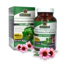 Het antwoord van de natuur Echinacea & Goldenseal 