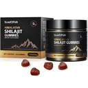 Biologische Shilajit Gummies, Pure Himalaya Shilajit Gummies voor mannen Supplement, Gold Shilajit Gummies voor vrouwen,Natuurlijke 85+ Trace Minerals, Ashwagandha, Black Seed Oil Extract, 90 Gummies