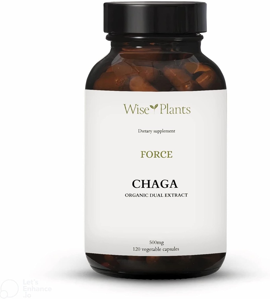 Chaga Mushroom Supplement. Dual Extract, Pure Fruiting Body, 30% Polysacchariden, 500 mg, 120 vegecaps (120-Day Supply). Kan gezonde spijsvertering, immuunfunctie ondersteunen en de gezondheid van het hart bevorderen.