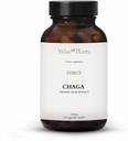 Chaga Mushroom Supplement. Dual Extract, Pure Fruiting Body, 30% Polysacchariden, 500 mg, 120 vegecaps (120-Day Supply). Kan gezonde spijsvertering, immuunfunctie ondersteunen en de gezondheid van het hart bevorderen.