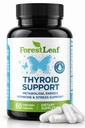 Schildklierondersteuning voor vrouwen en mannen met jood - Energie, Focus & Power Schildklier Supplement - Alle natuurlijke plantaardige minerale en vitamine complex met B12, zink, Selenium, Ashwagandha - 60 Vegetarische Capsules