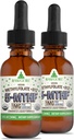 RawGuru Methylfolaat 1mg+ Vitamine B12 - Biologische Vegan Gemethyleerd B12 met sporenmineralen - Nano-Processed & Enhanced Liquid Formula - 300 porties Vegan Drops per 30 ml, Verpakking van 2