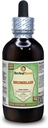 Bromelain (Ananas Comosus) Glycérite, poudre séchée extrait liquide sans alcool (marque: HerbalTerra, fièrement fabriqué aux États-Unis) 4 fl.oz (120 ml)