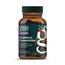 Gaia Kruiden Cranberry Concentrate - helpt handhaven Urinaire Tract Gezondheid - Gemaakt met biologische Cranberry Fruit sap Extract in handige capsules - 60 Vegan Liquid Phyto-Capsules (30-Day Supply)