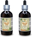 Xia Ku Cao, Prunella (Prunella Vulgaris) Tinctuur, Biologische Gedroogde Spike Powder Liquid Extract (Grote Naam: HerbalTerra, Trots Made in USA) 2x4 f.oz (2x120 ml)