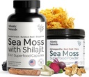 Atlantic Naturals Sea Moss Superfood Bundle - Sea Moss with Shilajit 5-in-1 Capsules & Sea Moss Powder with Ashwagandha, Beet Root & Maca Root - Enhanced Vitality, Skin & Athletic Support 60 ct & 150g
