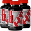 Body Builder for Men - CREATINE Powder 100G - Creatine Bulk - 3 Bottle (Powder)