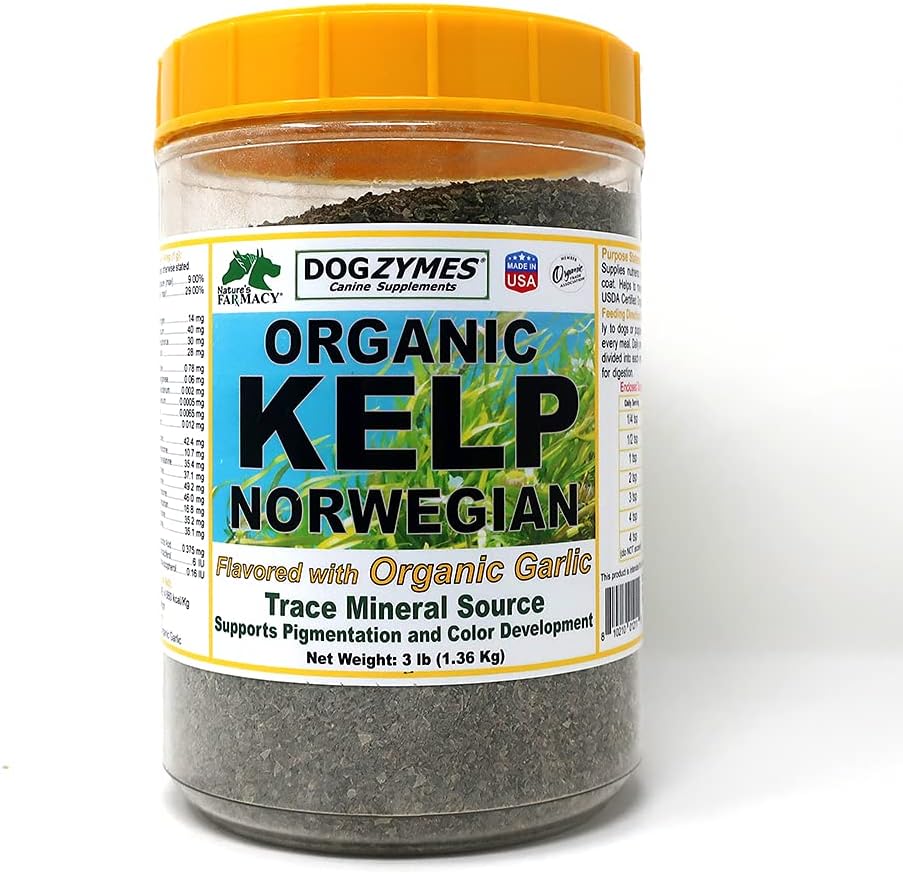 Dogzymes biologiques Norvégien Kelp amélioré avec l'ail (3 livres)