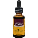 Herb Pharm Certified Biologische Hyssop Liquid Extract - 1 Ounce