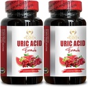 URIC zuur - plantaardige urinezuur essentiële dagelijkse ondersteuning, Uric zuur ondersteuning voor volwassenen, essentieel voor dagelijkse gezamenlijke ondersteuning, Immuun ondersteuning - 2 flessen 120 capsules