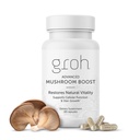 Groh Daily Vitality Boost - All Natural Hair Growth Supplement powered by ErgoD2 - Riche en antioxydants - Vitamines pour cheveux, peau et ongles plus forts- Meilleur choix pour les cheveux minces - 60 Comte