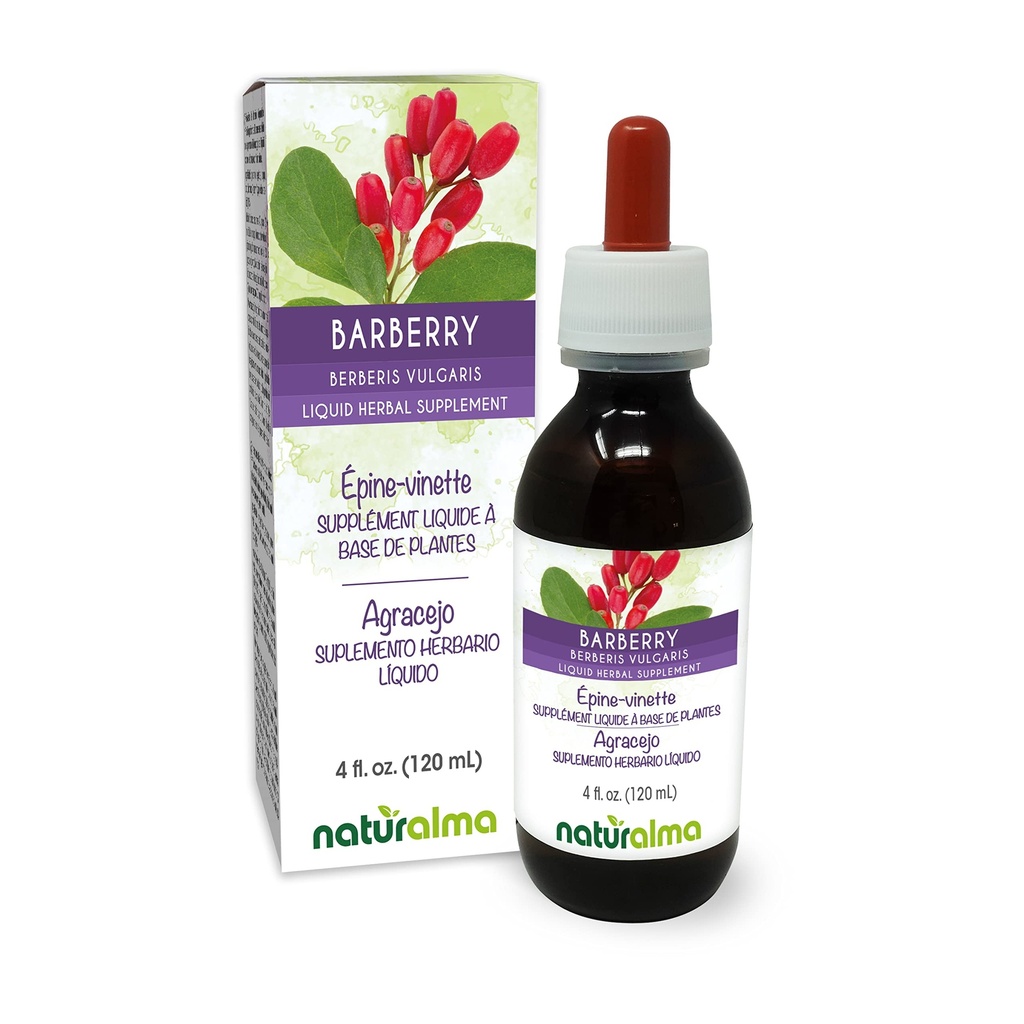 Naturalma Barberry (Berberis vulgaris) Aboiement racine Teinture sans alcool - 4 fl oz Extrait liquide dans les gouttes - Supplément à base de plantes - Vegan