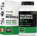Renew Actives Moringa Leaf Supplement 800MG per 2 capsules- Antioxidant-Rich Moringa Oleifera - Promoot goede gezondheid en welzijn - Gemakkelijk doorslikken - Made in Canada - 120 capsules