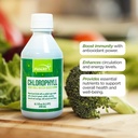 FUNAT Chlorofyl Plus vloeibaar met natuurlijke munt smaak - Nutrient-Rich Green Supplement voor energie en wellness, gemakkelijk te gebruiken druppels - 8.1 FL OZ