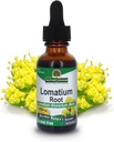 Antwoord Lomatium Root Alcohol Vrij - 1000 mg - Glutenvrij - Kruiden - 1 floz (verpakking van 2)