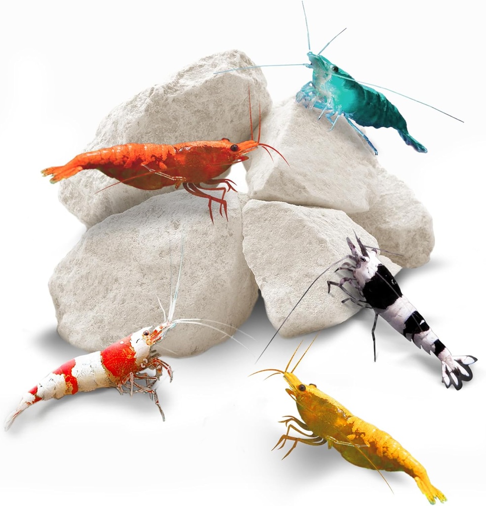 SunGrow Shrimp Rocks, Calcium, Magnesium Rocks for Crayfish, Hermit Crab, Slails, Crustacean Care, Aquarium Decor for Crystal Red, Amano and Ghost Shrimps, Nano Tank Accessoires, Vis Tank Supplies