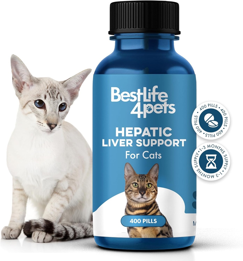 Lever Lever Ondersteuning voor katten Disoplosbaar,Homeopathisch, Digestieve Feline Supplement voor lever Detox en Nutrient Absorptie 100% Alle natuurlijke, gemakkelijk te geven, vrij van chemicaliën of additieven, 400 pillen