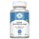 Équilibre naturel Super Ginkgo Biloba Plus de la formule Cerveau et Circulation pour aider à soutenir Focus, Mémoire et flux sanguin.