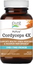 PURE ESSENCE LABS MyPure Cordyceps 4X Mushrooms - Concentrated Cordyceps Mushroom Powder Supplements for Immune System, Stress Response, Physical & Mental Performance - 1 Month Supply