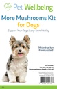 Huisdier Welzijn Meer Paddestoelen Kit voor Honden - Immuunsysteem Ondersteuning en Antioxidant Bescherming - Vet-Geformuleerd met Turkije Tail, Reishi, Maitake, Astragalus