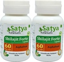 Shilajit Forte Capsules 500 mg. 60 Veg. Capsules Shilajit (Asphaltum) Extract Capsules for Men and Women 