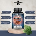 APOLLO'S Hegemony Alpha-GPC 600 mg per dagelijkse dosis - 90 Vegan Choline Capsules - 99% Choline Alfoscerate Dieetsupplement - Lipiden Choline - Geheugen- en concentratiecapsules