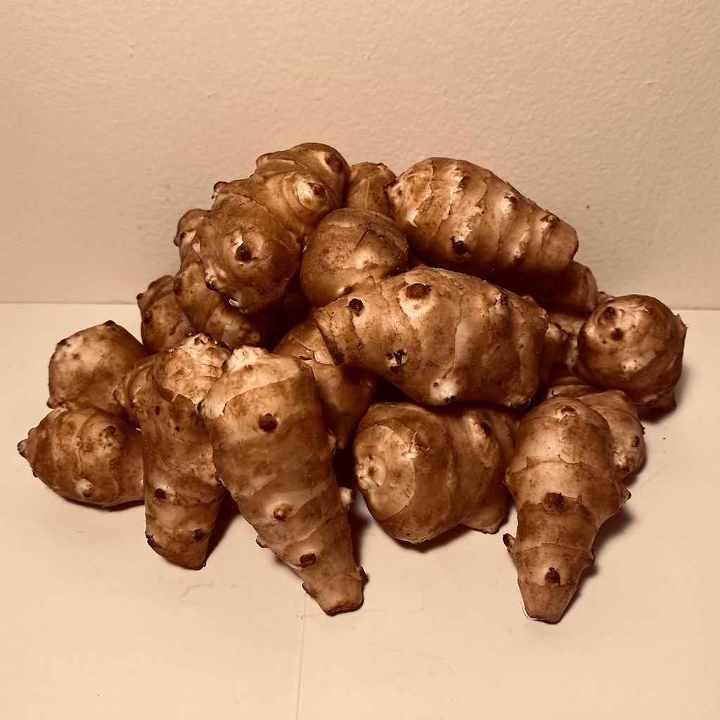 Sunchokes - 5 pond (5 lbs) voor het planten of eten van FEDEX 2Day