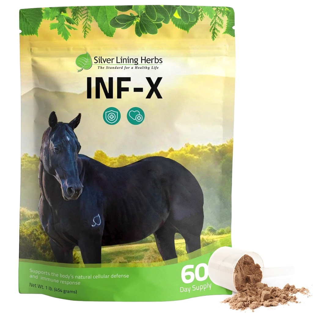 Silver Lining Kruiden Equine INF-X - Ondersteunt Horse Stress Relief en gezonde niveaus van goede bacteriën - Natuurlijke ondersteuning voor Equine Immune System - Herbal Supplement voor Equine Detoxification - 1 lb