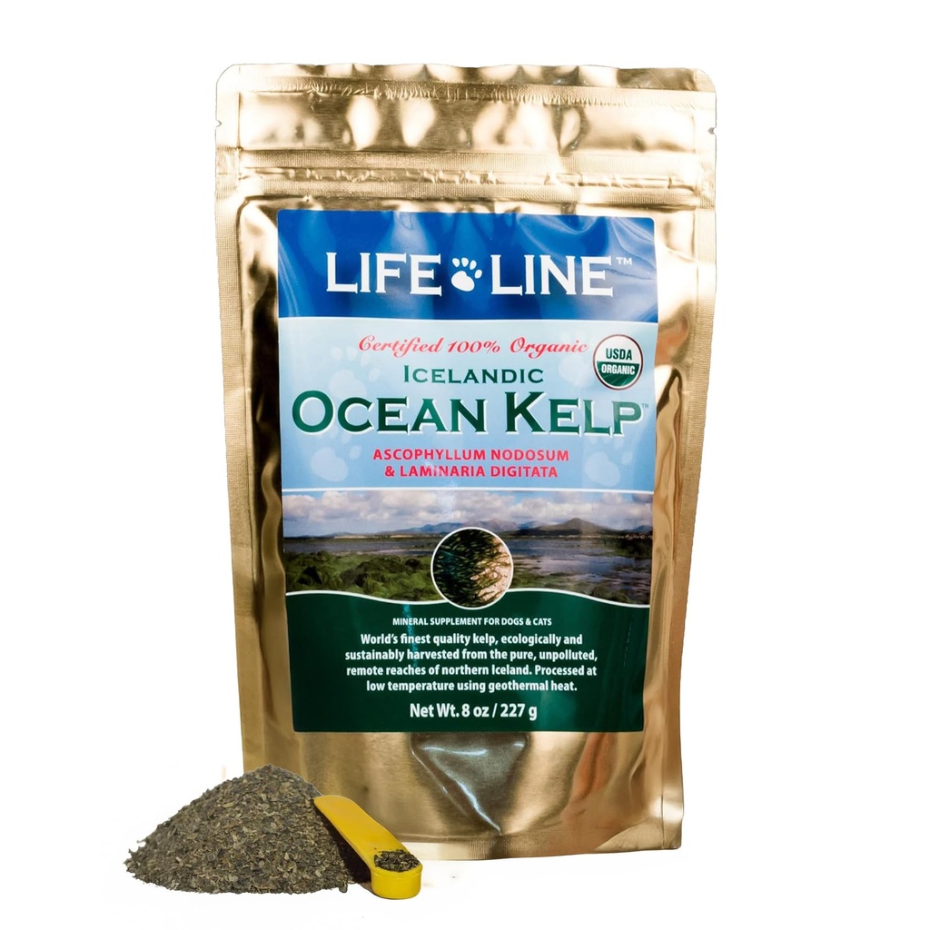 Ligne de vie en poudre de Kelp biologique pour les chats, les chiens, le bétail et les chevaux – Supplément naturel d'iode pour la peau, le manteau et les dents saines – réduit la plaque et augmente le métabolisme - 8 oz