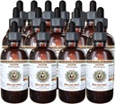 HawaiiPharm Olive (Olea europaea) Biologische gedroogde bladeren Veterinaire Natuurlijke Alcoholvrije Liquid Extract, Pet Herbal Supplement 15x4 oz