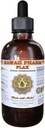 Vlas Liquid Extract, Organische Vlas (Linum usitatissimum) Tinctuur Supplement 4 oz