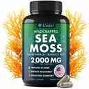 Capsules de mousse de mer - Irish Sea Moss Advanced avec la racine de Burdock, Bladderwrack et Muira Puama pour l'immunité, Gut, et l'énergie - Superfood Sea Moss Suppléments avec/Raw Sea Moss Powder - 120 Irish Seamoss Pills