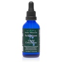 Eidon Ionische Mineralen Liquid Selenium Concentraat - Selenium Drops voor mannen en vrouwen, Natrium Selenaat Supplement voor volwassenen, Ondersteunt een gezond immuunsysteem en weefsel Gezondheid, Suikervrij - 2 oz