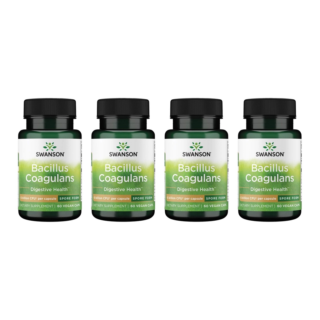 Swanson Bacillus Coagulans - Supplément probiotique naturel à l'appui de la santé digestive w/ 6 Million UFC - Peut soutenir l'IG et la santé globale de l'intestin - (60 Capsules de Veggie) 4 Pack