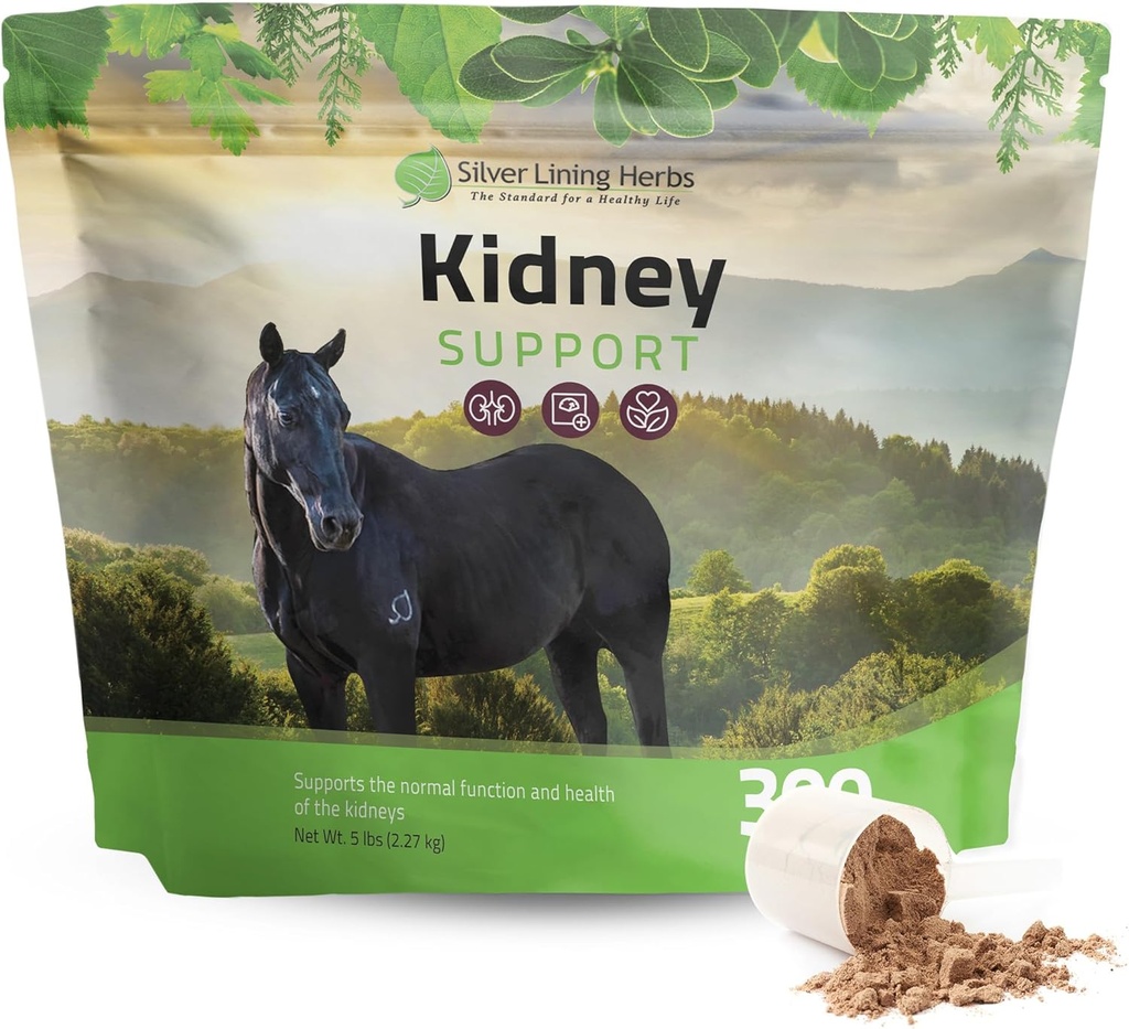 Silver Lining Kruiden Nieren Ondersteuning Supplement voor Paarden - Paardensupplementen voor Niergezondheid en Blaas Ondersteuning - Compleet met kamille, Knoflook, Juniper Berry, en Meer - 5 lb (300 Servers)